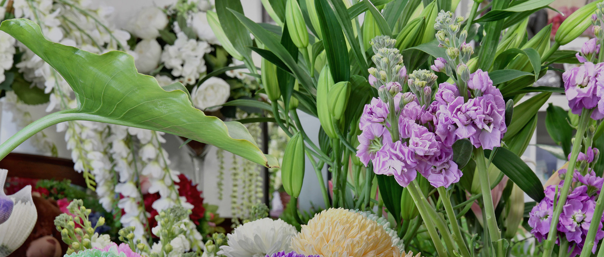 Heavy Petal Florist Prospect